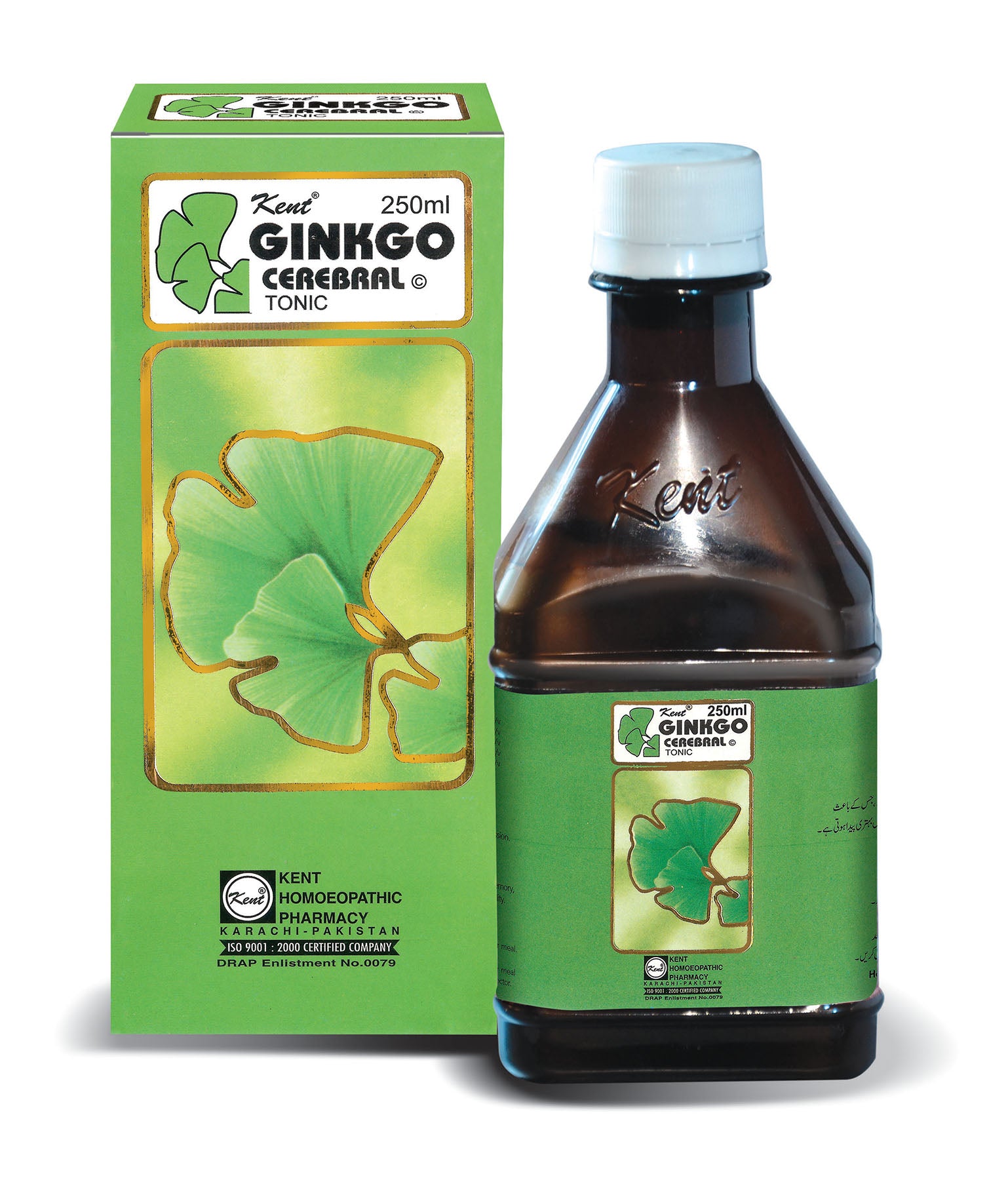 Gingko cerebral tonic