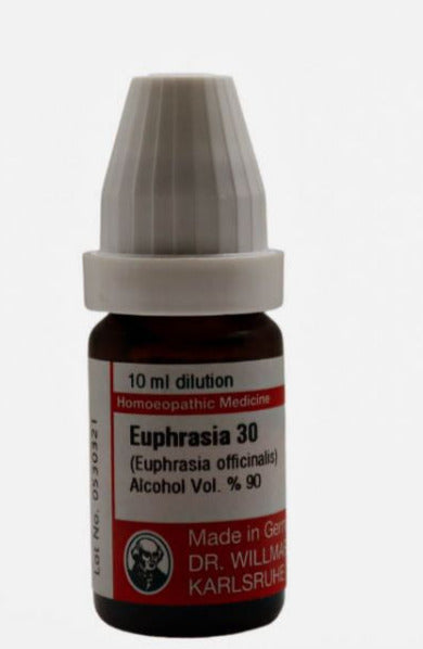 Euphrasia