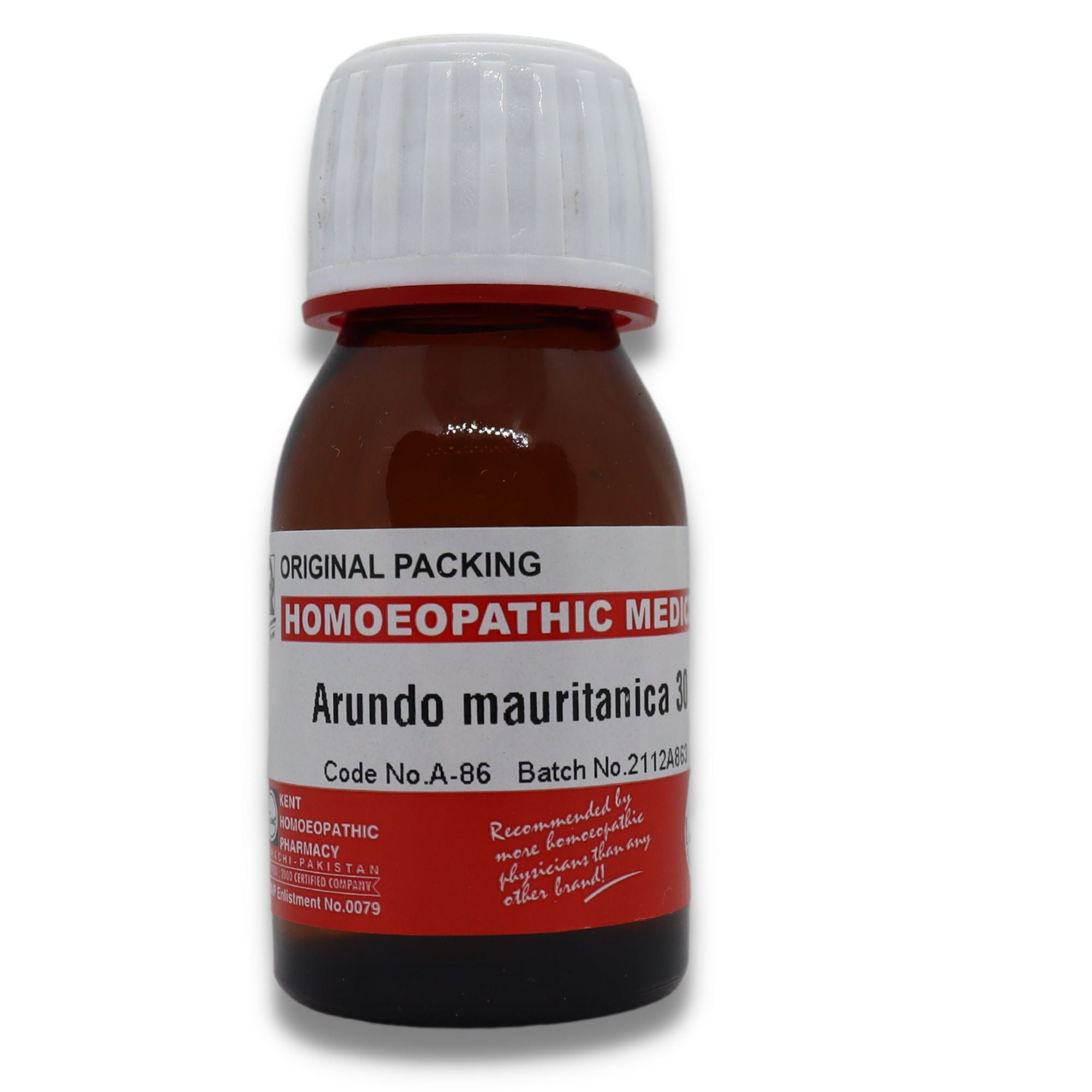 ARUNDO MAURITICA