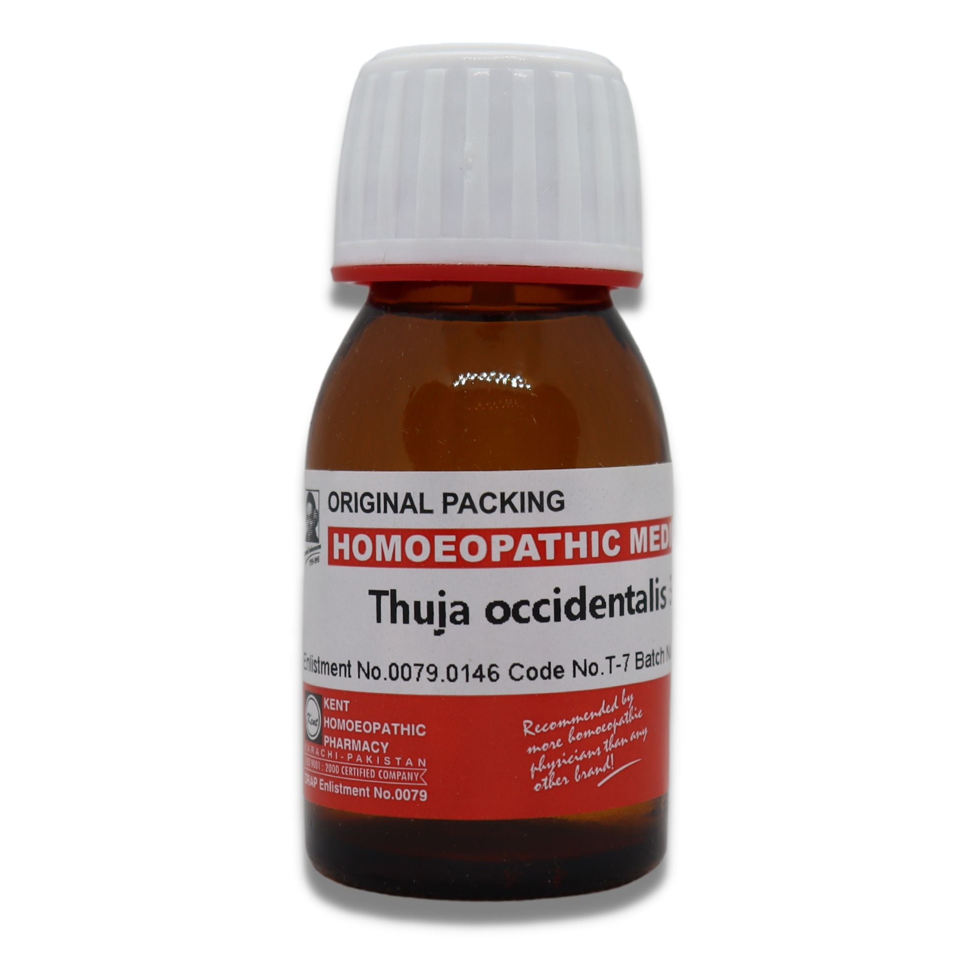 Thuja Occ