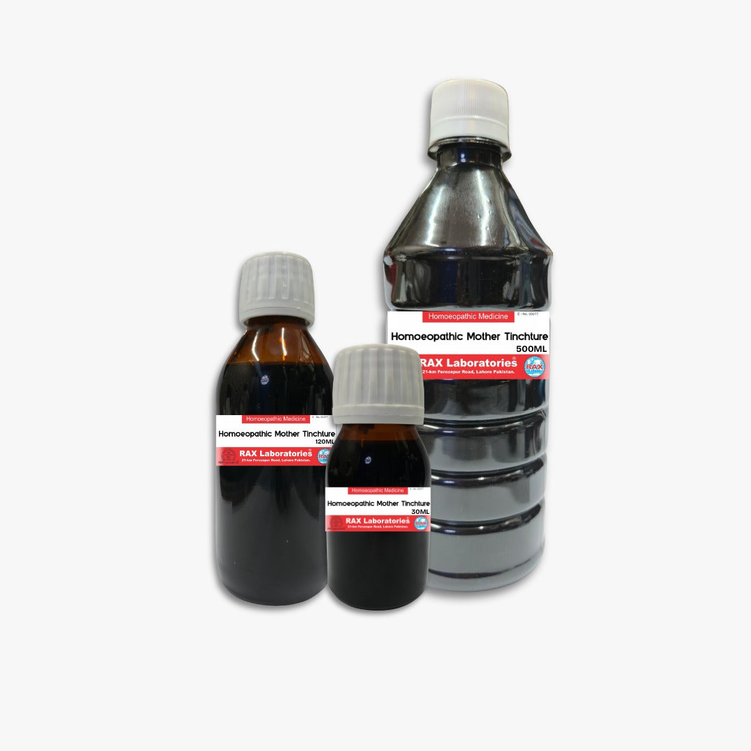 CORCHORUS DEPRESSUS Ø