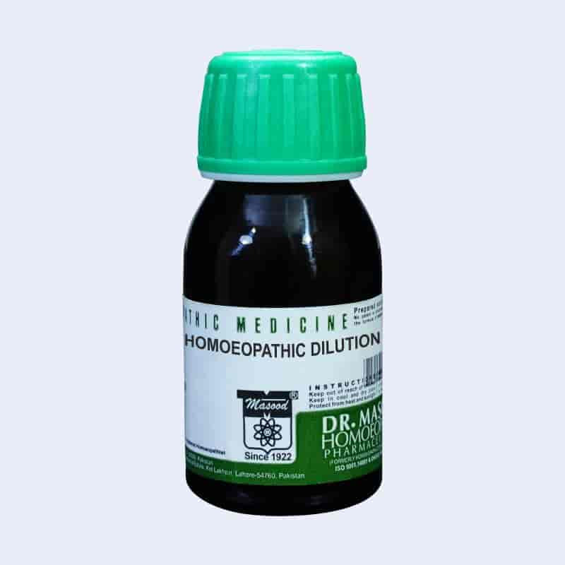 SOLANUM XANTHOCARPUM