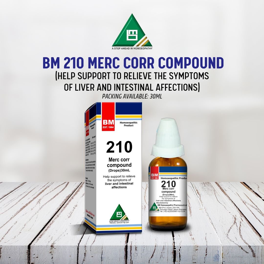 BM 210