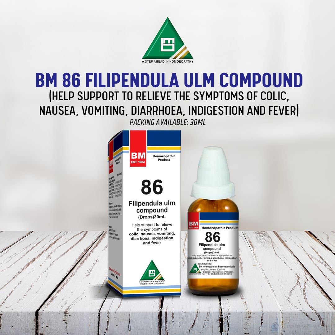BM 86