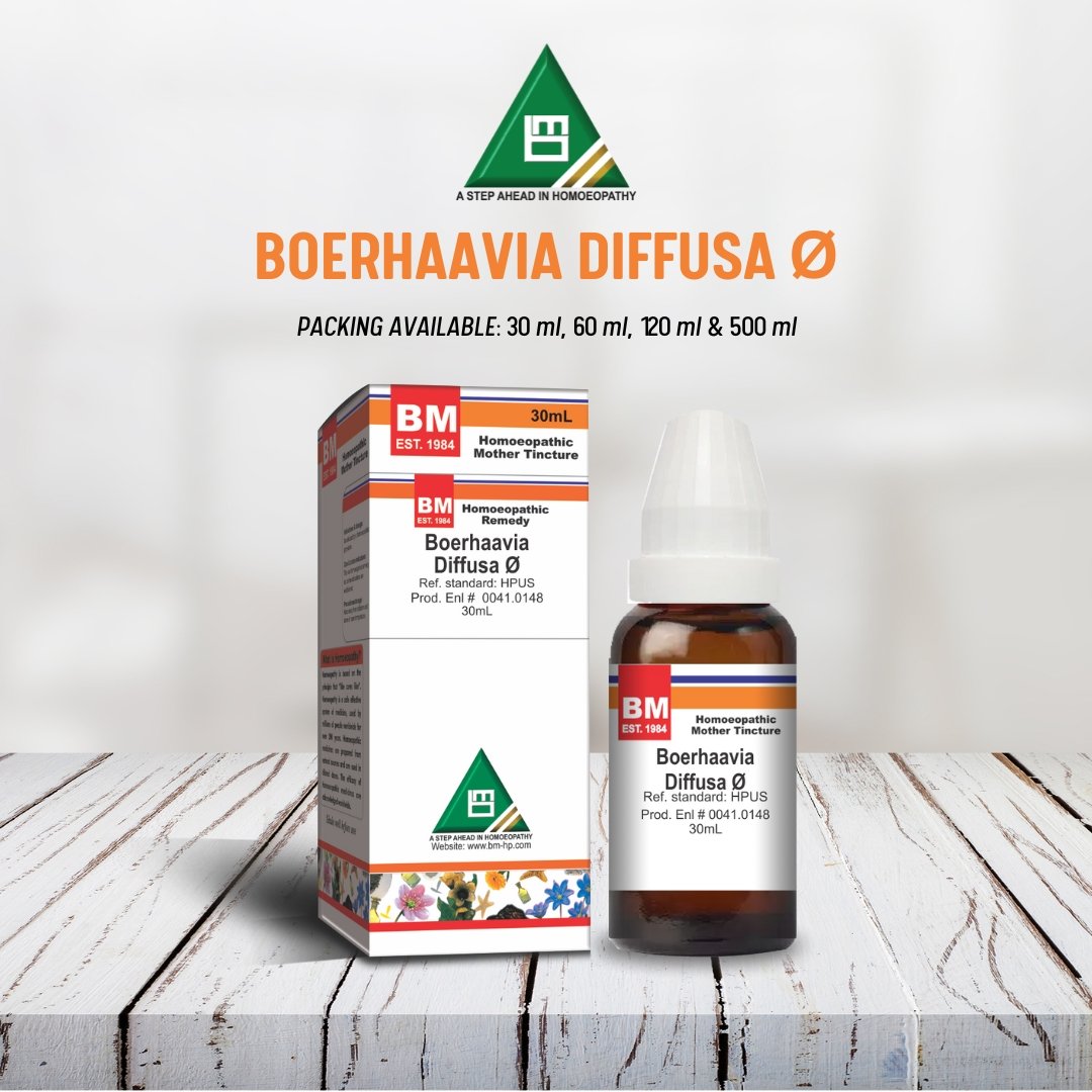 Boerhaavia Diffusa Ø