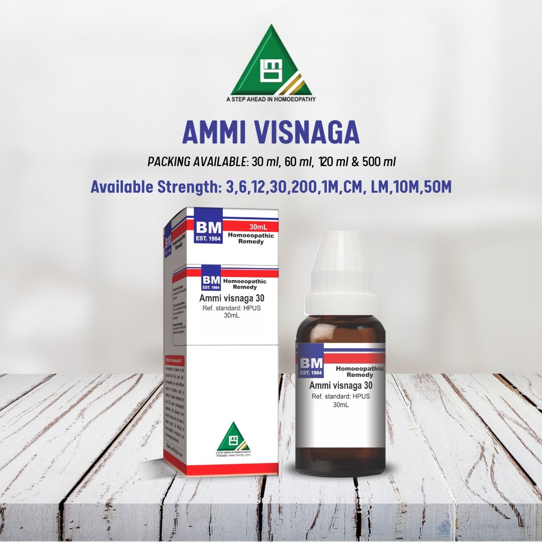 AMMI VISNAGA