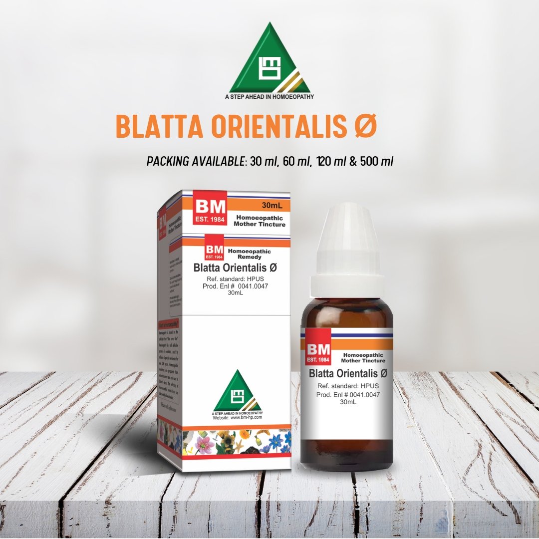 Blatta Orientalis Ø