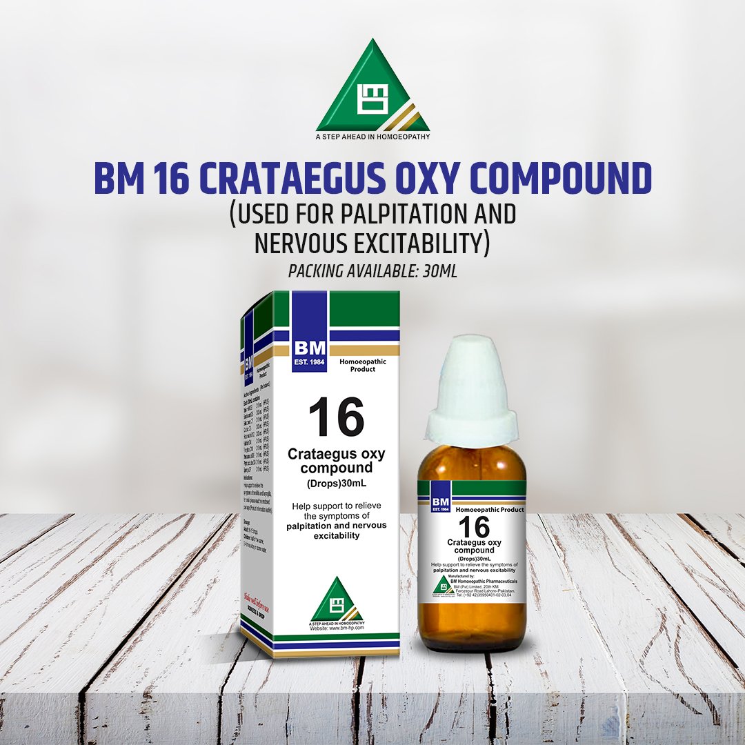BM 16