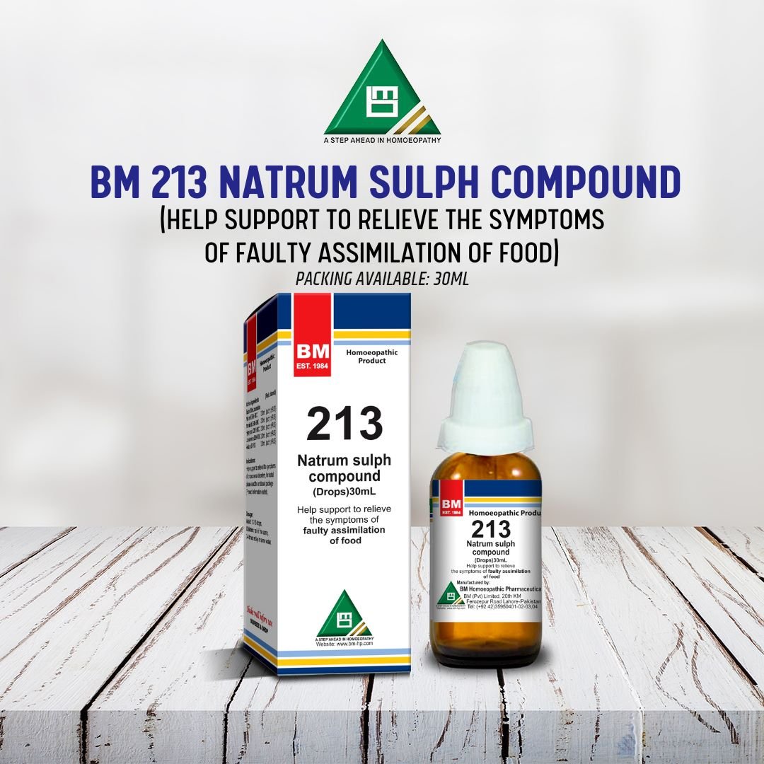 BM 213