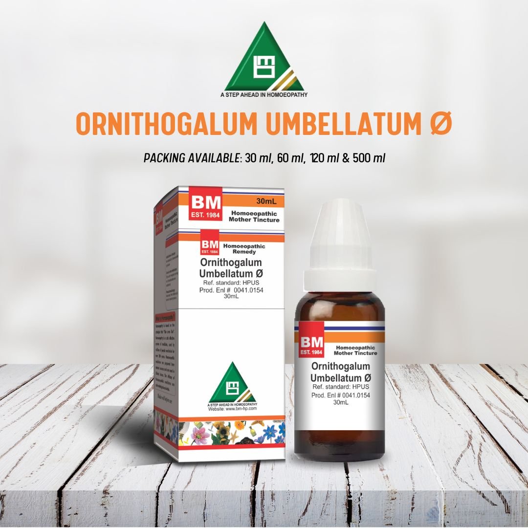 ORNITHOGALUM UMBELLATUM Ø
