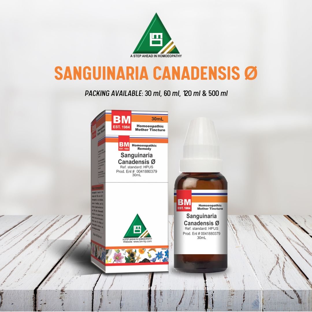 SANGUINARIA CANADENSIS Ø
