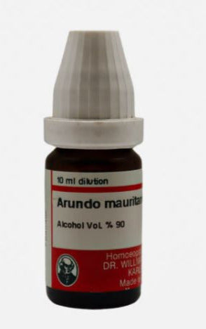 Arundo maur
