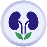 Urinary & Kidney Conditions