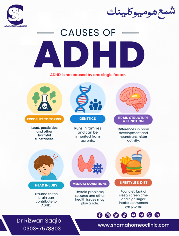 Causes of ADHD: